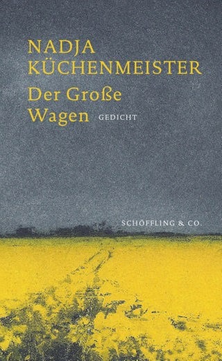 Cover des Buches Nadja Küchenmeister: Der Große Wagen 