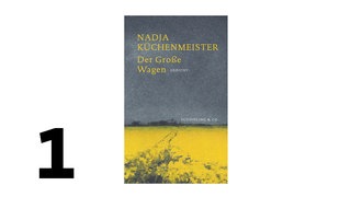 Cover des Buches Nadja Küchenmeister: Der Große Wagen 