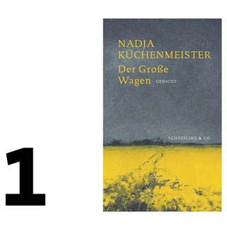 Cover des Buches Nadja Küchenmeister: Der Große Wagen 