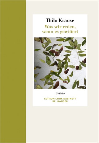 Cover des Buches "Was wir reden, wenn es gewittert" von Thilo Krause