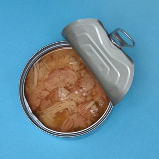 Thunfisch in der Dose