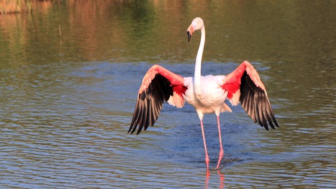 IMAGO  Depositphotos