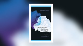 Ines Berwing - zertanzte schuhe