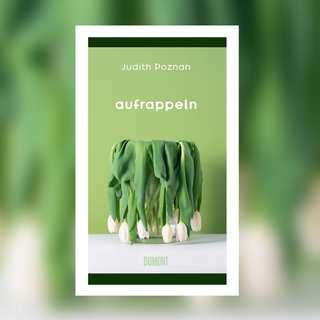 Judith Poznan - Aufrappeln