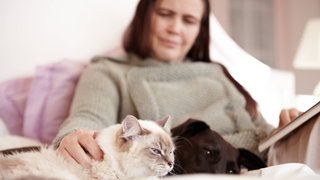 Frau liest Buch und streichelt Katze