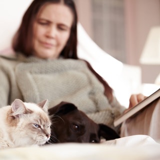 Frau liest Buch und streichelt Katze