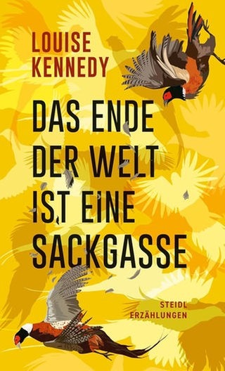 Louise Kennedy – Das Ende der Welt ist eine Sackgasse