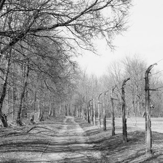 Bilder aus dem Band „Buchenwald. Im Dickicht vom Ettersberg“ von Christian Rothe