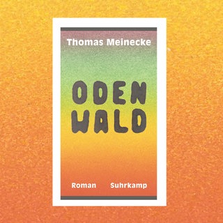 Cover des Buches Thomas Meinecke - Odenwald