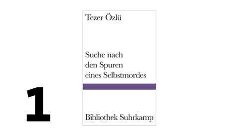 Cover des Buches Tezer Özlü: Suche nach den Spuren eines Selbstmordes