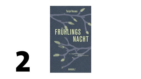 Cover des Buches Tarjei Vesaas: Frühlingsnacht