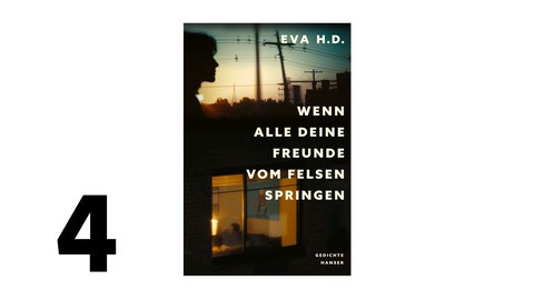 Cover des Buches Eva H.D.: Wenn alle deine Freunde vom Felsen springen 