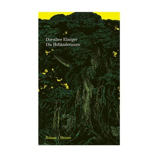 Cover des Buches Dorothee Elmiger: Die Holländerinnen 
