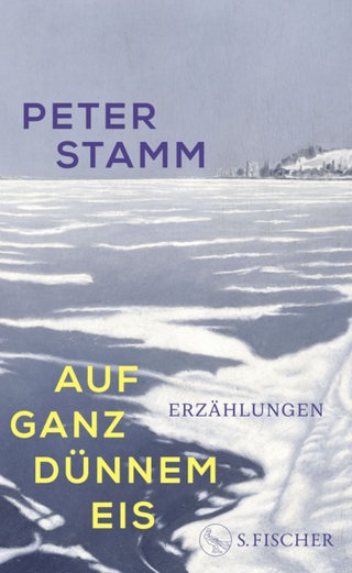 Peter Stamm - Auf ganz dünnem Eis