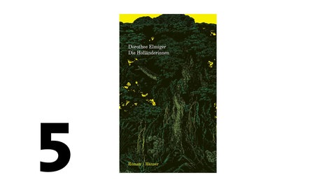 Cover des Buches Dorothee Elmiger: Die Holländerinnen 