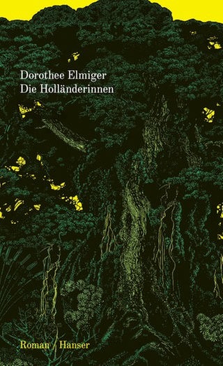 Cover des Buches Dorothee Elmiger: Die Holländerinnen 