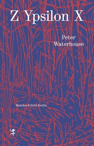 Cover des Buches Peter Waterhouse: Z Ypsilon X