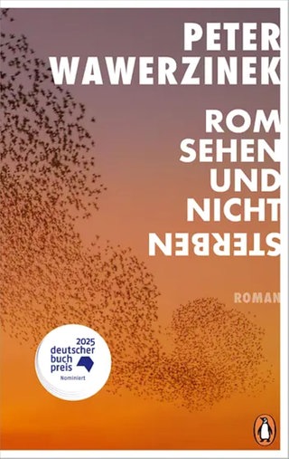 Peter Wawerzinek - Rom sehen und nicht sterben