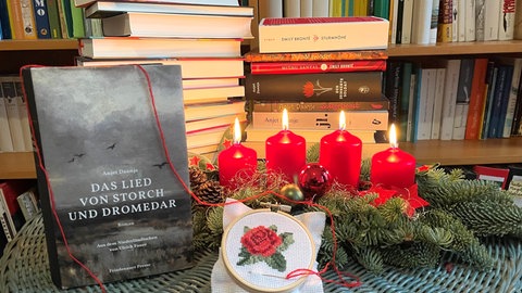 Anjet Daanje: Das Lied von Storch und Dromedar