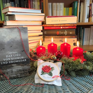 Anjet Daanje: Das Lied von Storch und Dromedar