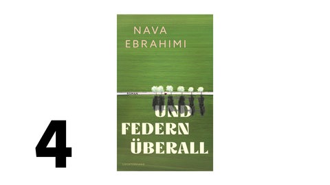 Cover des Buches Nava Ebrahimi: Und Federn überall