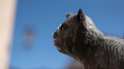 Eine Statue des Kater Murrs, aus dem Werk "Lebens-Ansichten des Katers Murr" von E. T. A. Hoffmann, in Bamberg
