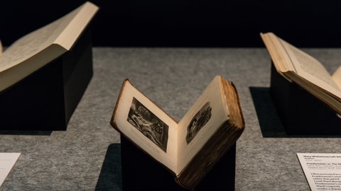 Alte Ausgabe des Buches "Frankenstein" von Mary Shelley in einer Auslage