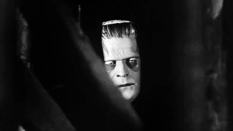 Boris Karloff als Frankensteins-Monster in der Verfilmung von 1931