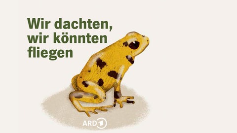 ein gelber Frosch, Grafik zur Hörbuch-Anthologie "Wir dachten, wir könnten fliegen"