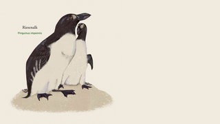 John Burnside: Bis keiner mehr übrig war