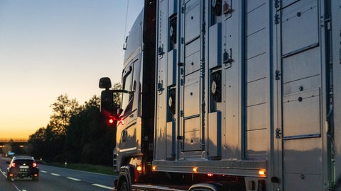 Tiertransporter