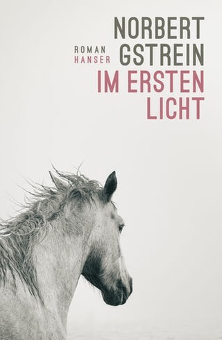 Cover des Buches: Norbert Gstrein Im ersten Licht