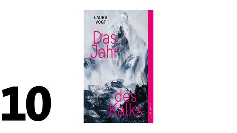 Cover des Buches Laura Vogt Das Jahr des Kalks