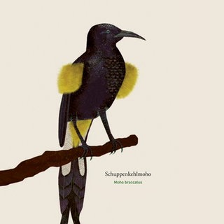 Das letzte Lied des Kaua’i’ō’ō. Dating-Protokoll. Duett für einen Bass