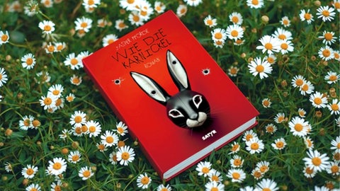 Jasper Ffordes Roman "Wie die Karnickel" liegt auf einer Gänseblümchenwiese.