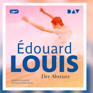 Hörbuch - Der Absturz von Èdouard Louis