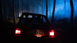Auto in einem Wald