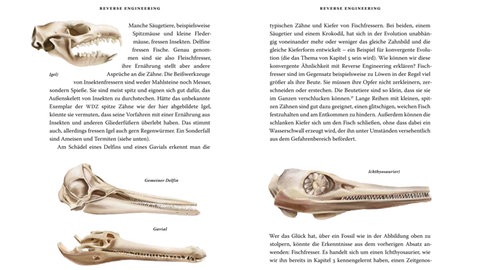 Ein Ausschnitt aus Richard Dawkins' "Das große Buch der Evolution" über Tierschädel.