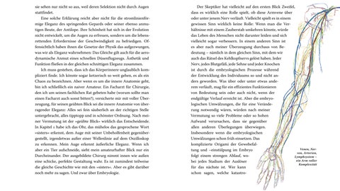 Ein Ausschnitt aus Richard Dawkins' "Das große Buch der Evolution".
