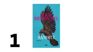 Cover des Buches Lukas Rietzschel: Sanditz