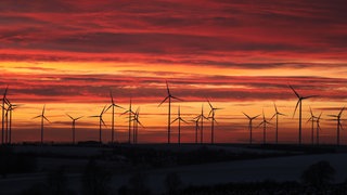 Windräder im Sonnenuntergang, Windpark Bachra