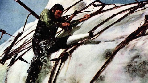 Gregory Peck als Ahab kämpft mit dem Wal Moby Dick