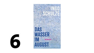 Cover des Buches Ingo Schulze: Das Wasser im August