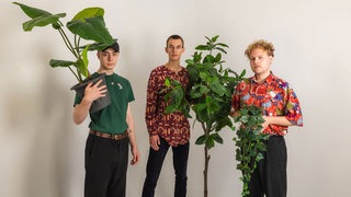 Vincent Meissner Trio