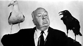 Regisseur Alfred Hitchcock während eines Fotoshootings zum Film "Birds" ("Die Vögel")