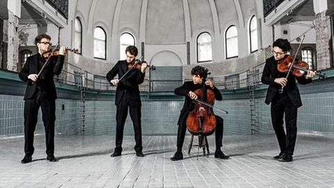Vision String Quartet