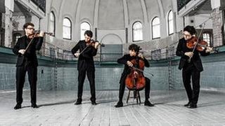 Vision String Quartet