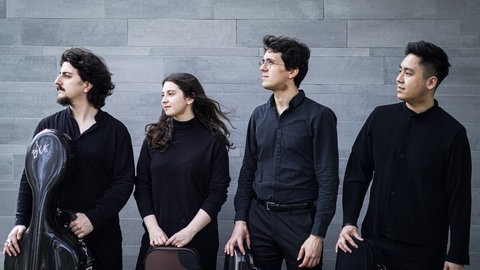 Die vier Musiker und Musikerin des Viatores Quartet