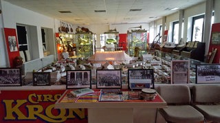 Sammlung des Musikantenmuseums in Mackenbach. Zu sehen sind historische Musikinstrumente, Musikanten und ihre Reisen, u.a.