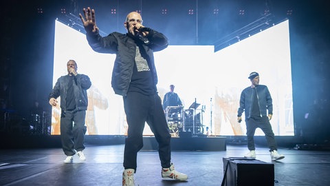 Die Fantastischen Vier